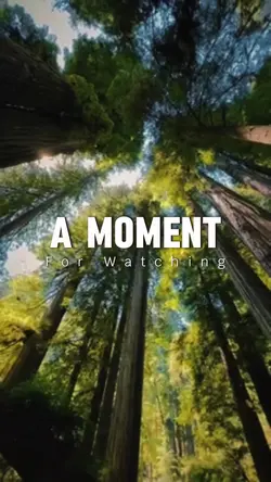 A moment
