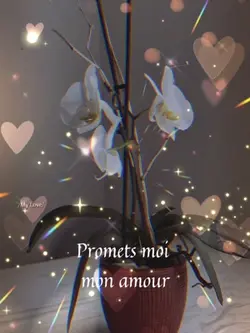 Chanson d’amour 