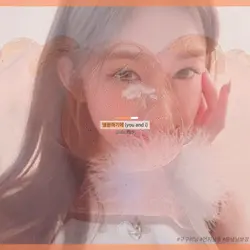 주황색 사진을 넣어보세용