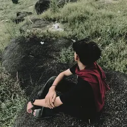 1:1