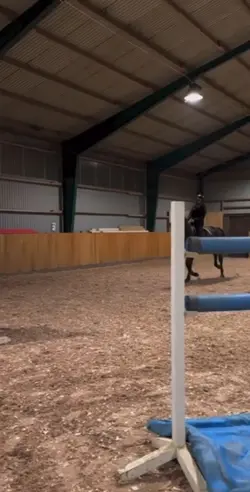 Horse slowmo💕