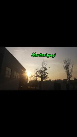 Video Aesthetic 