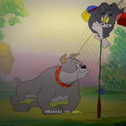 Tom and Jerry edit 