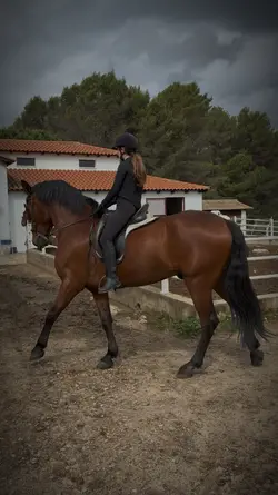 this horse 😍🔥