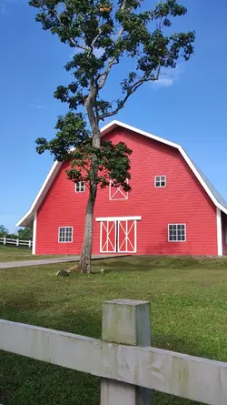 farm cinematic vlog