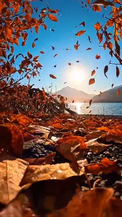 autumn vibes