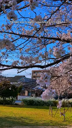 Sakura 