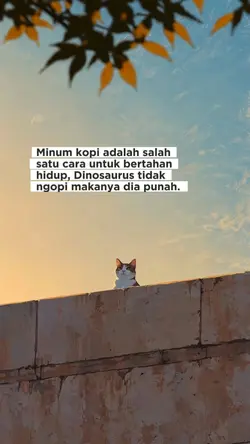 minum kopi