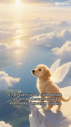 Angel dog