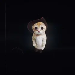 Cat meme photo edit
