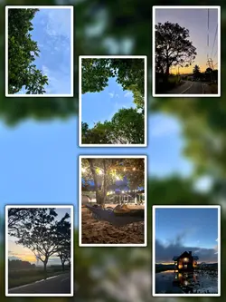 6Pic Aesthetic