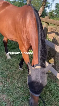 Welcome home 