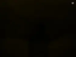 Allah Taala