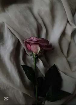 🥀💔
