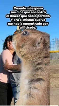 Esposa feliz