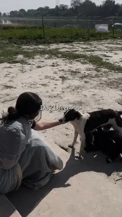 Dog lover