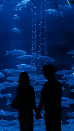 Aquarium date