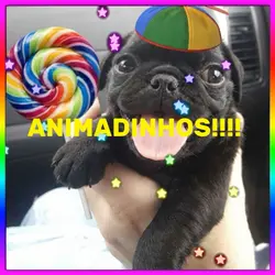 ANIMADINHOS!!!