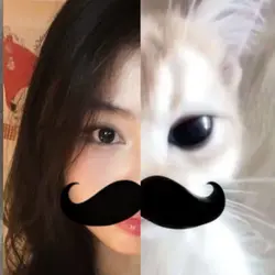 cute cat mustache