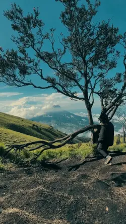 1 vid 7 photo kece