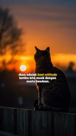 best attitude