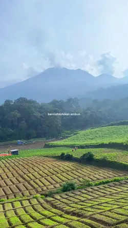 Hingga ujung waktu