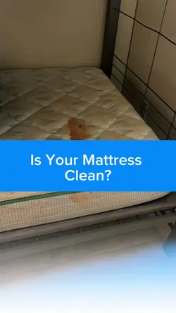 Mattres Clean