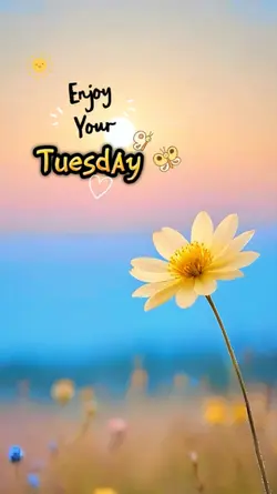 Tuesday