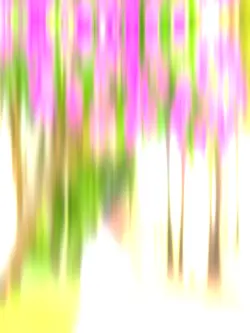 ইতিহাস video template