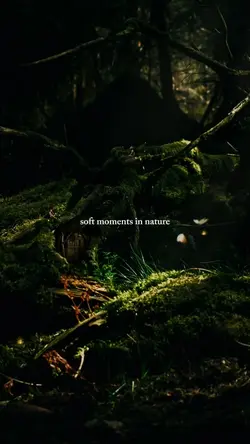 soft moments nature