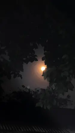 Moon Light