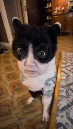 PREMAN EMPUSS