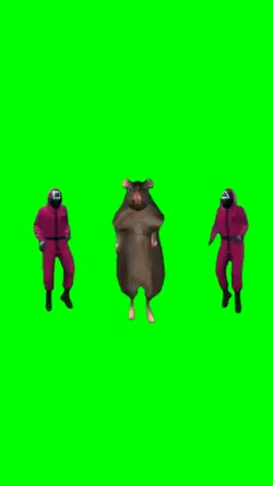 Mingle Rat Dancing
