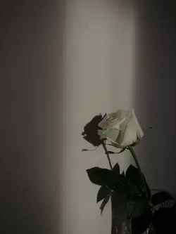 nfak