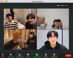 stray kids zoom call