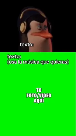 pingüino audifonos