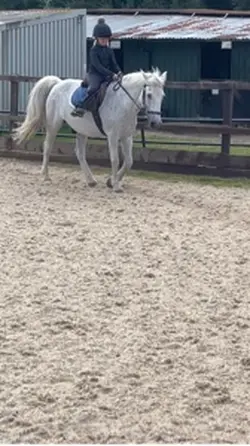 SPARKYYY GOOO