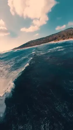 Mini vlog 