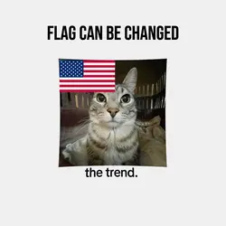 flag edit trend 2