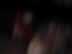 Pelomm