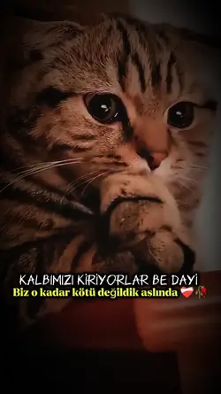 Yeni şablon 