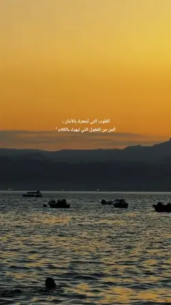 Amal Alharbi