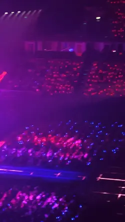 mẫu concert