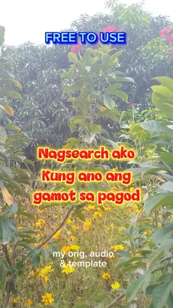 Gamot sa pagod