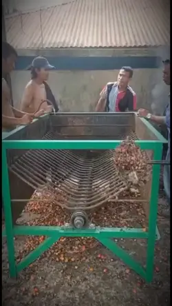 #gusiqdam