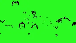 chroma bat