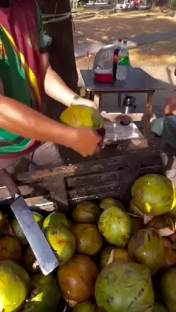 Coconut