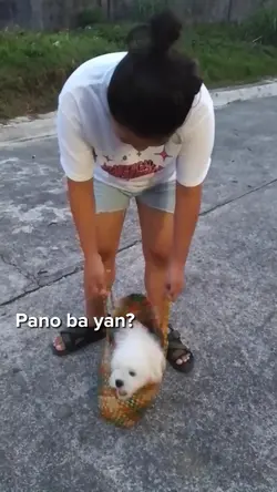 Napag tripan