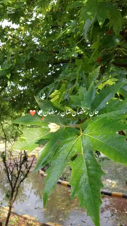 Shan e ramzan