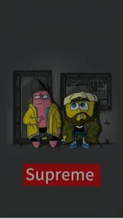 Modèle bob 